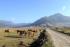 Visited Bhutan in April: Scenic routes & travel tips from a 10-day trip